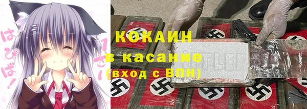 прущие грибы Алексеевка