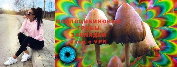 хмурый Дмитров