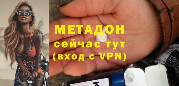 прущие грибы Алексеевка