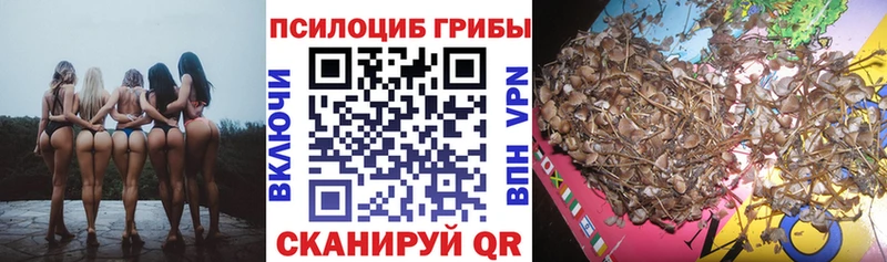 сколько стоит  Богородицк  Псилоцибиновые грибы GOLDEN TEACHER 